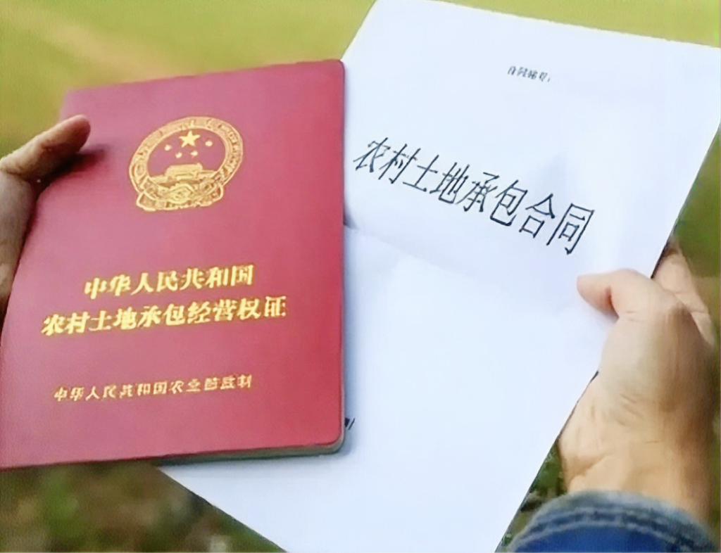 7年维权无果，京云律师一招破局！县政府“装聋作哑”终被认定违法！